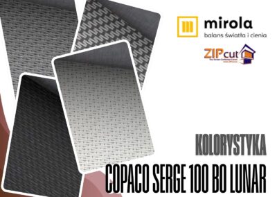 KOLORYSTYKA – COPACO SERGE 100 BO LUNAR